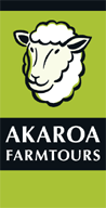logo1 copy